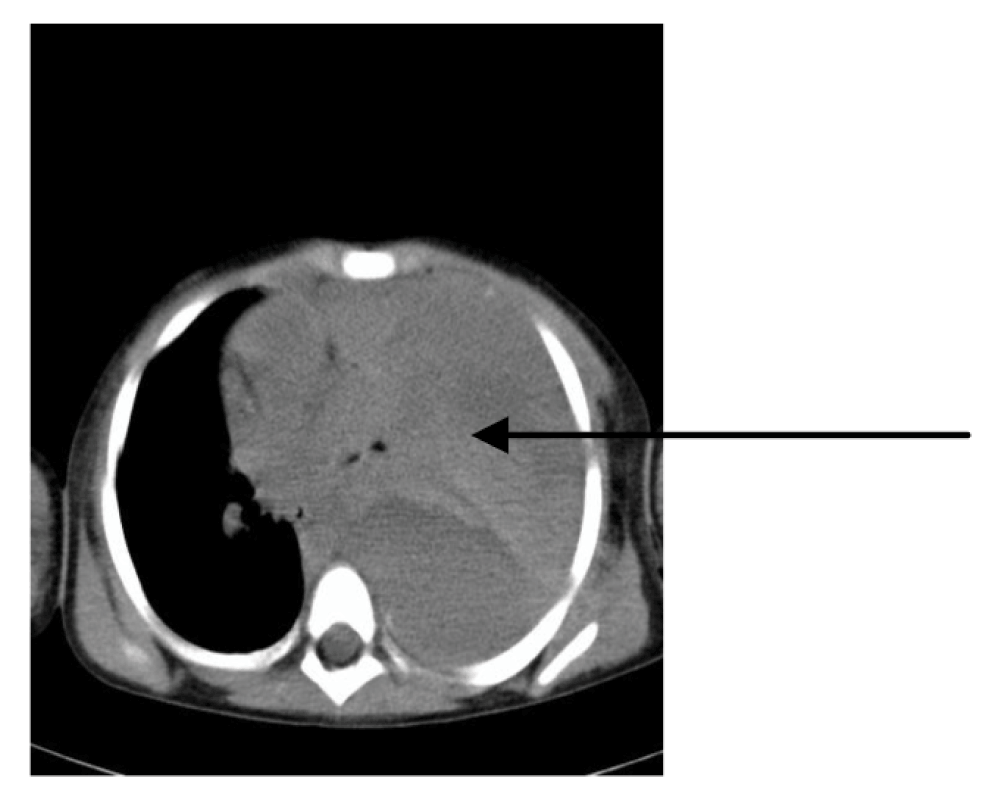 94679eaf-ba0b-4377-99e1-4806aba486f0_figure3.gif