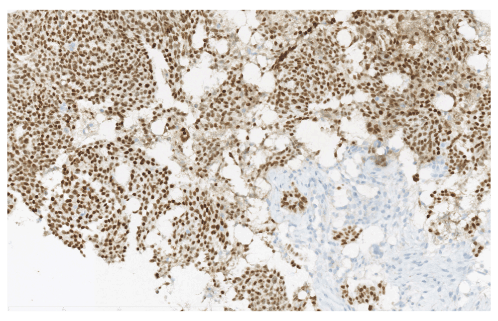 f13b620b-414f-4e27-aeb3-6a9615f04993_figure1B.gif