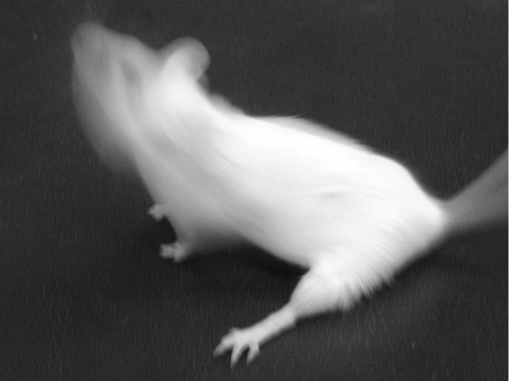 b8590330-4a8b-45f2-acec-9ca660cb90ef_figure1.gif