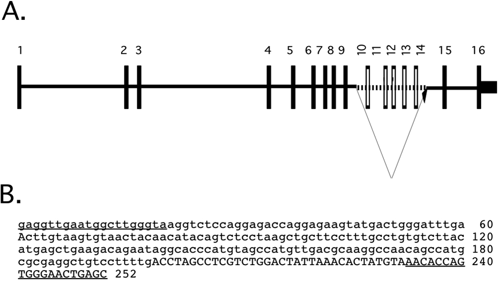 b8590330-4a8b-45f2-acec-9ca660cb90ef_figure4.gif