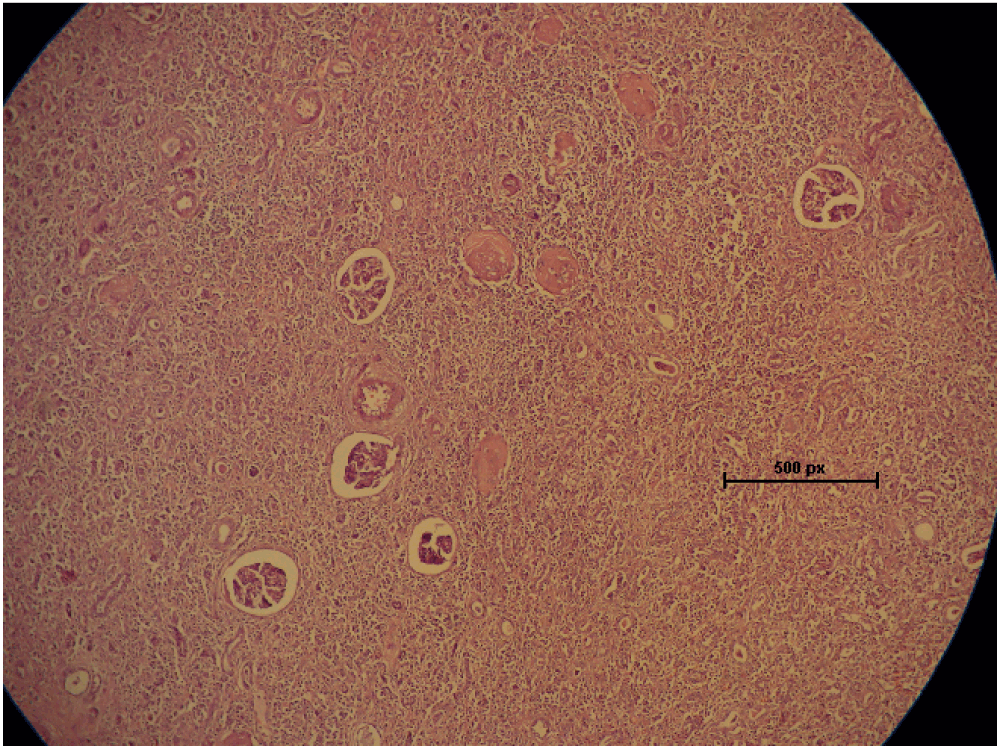 f7034051-59ac-46ca-b35c-93dde056d773_figure3.gif