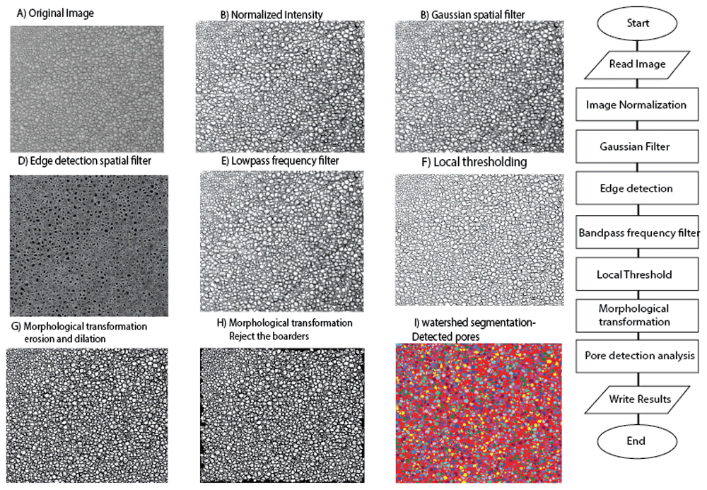 b724d9fd-6578-4d09-a9a5-92e1366ef1c4_figure1.gif