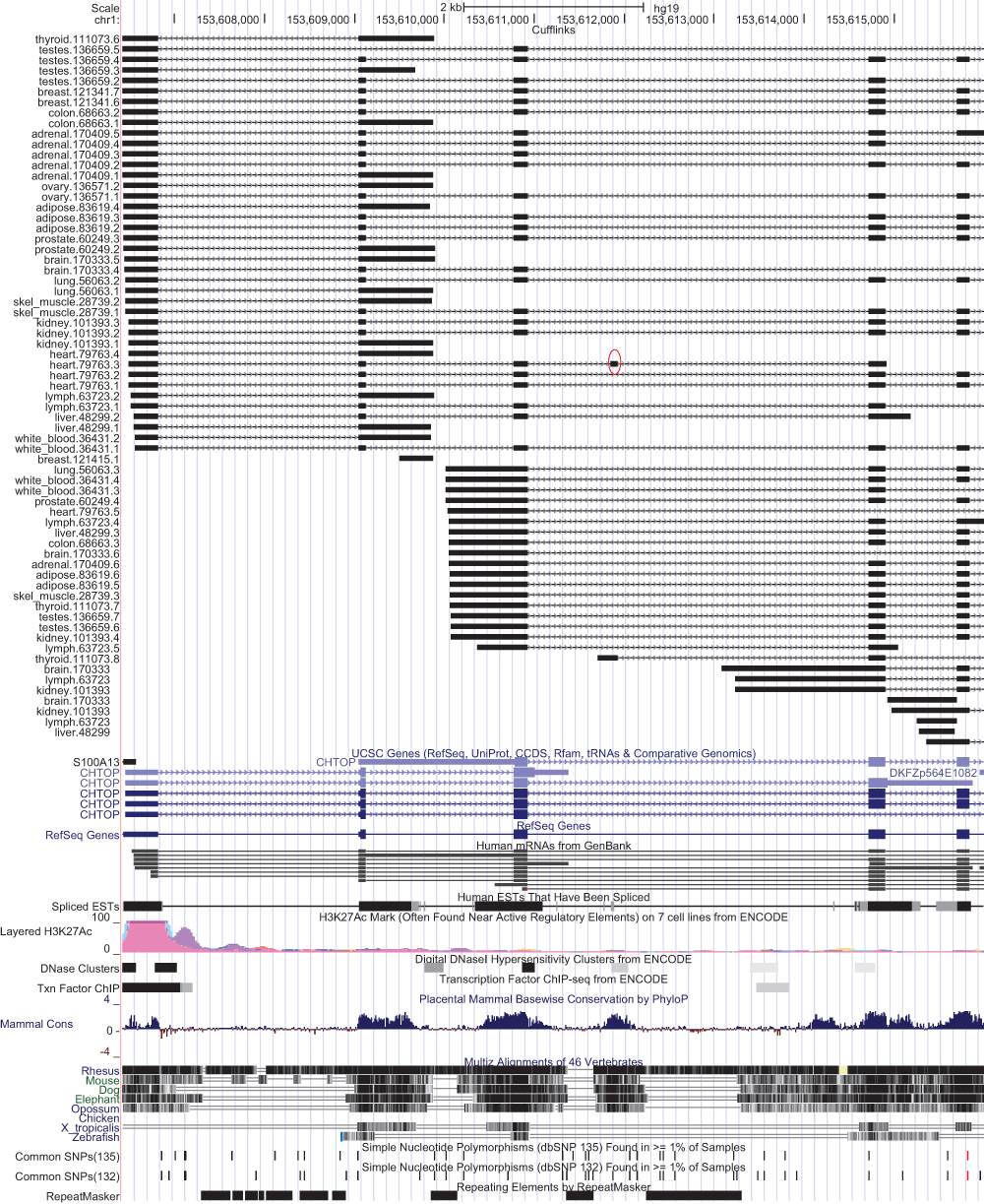53cacfa3-bcaf-400c-8965-c4670e71fb38_figure2.gif