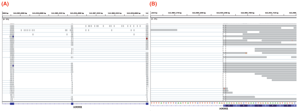 17f87dec-067e-4c58-9107-297710f8f8a3_figure4.gif