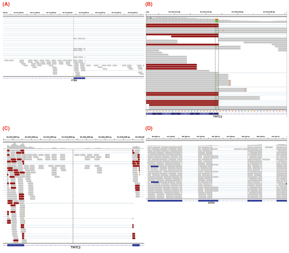 17f87dec-067e-4c58-9107-297710f8f8a3_figure6.gif