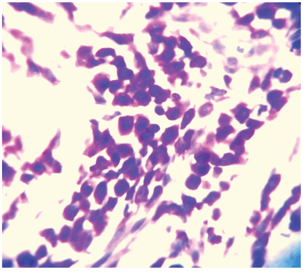 9bc16250-4a86-4071-a9fd-2f54a38e5c83_figure3.gif