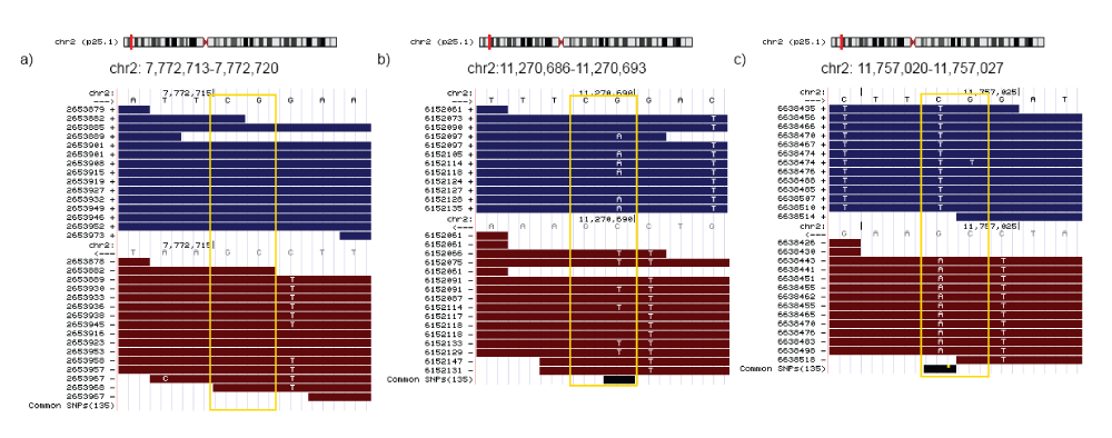 ee2d5351-7e0b-4159-ad0c-019af8081f9f_figure1.gif