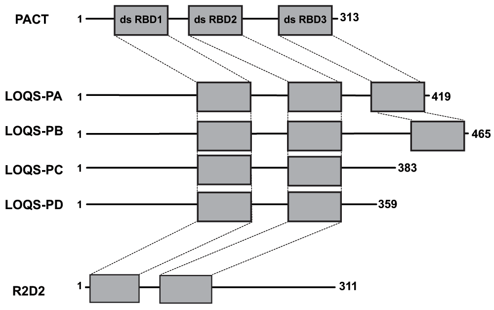 63e47df6-25e7-4a3c-86f8-61edc42e0bc3_figure1.gif