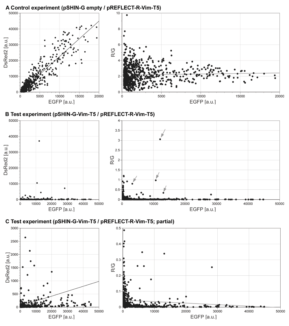 21755a67-8687-4b5c-96ee-c961a16df2c2_suppl_figure4.gif