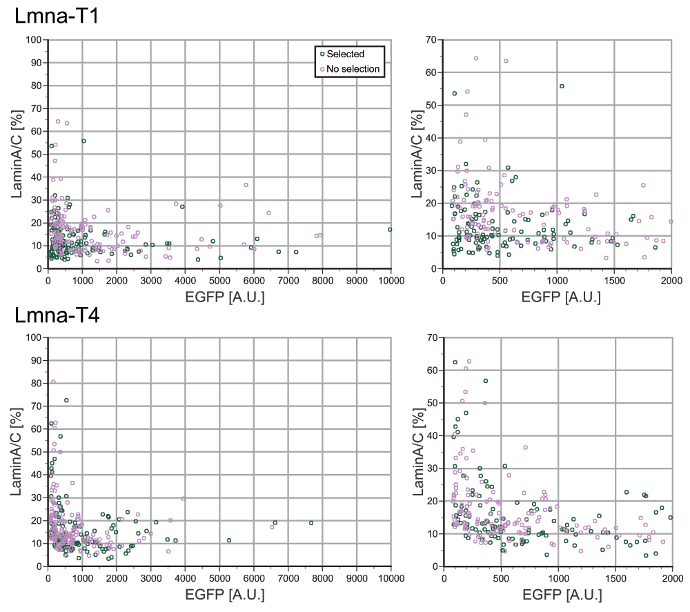 21755a67-8687-4b5c-96ee-c961a16df2c2_suppl_figure8.gif