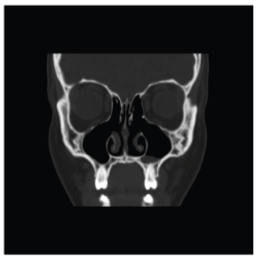9af85e24-5a2c-4214-b95b-5370352052c0_figure1.gif