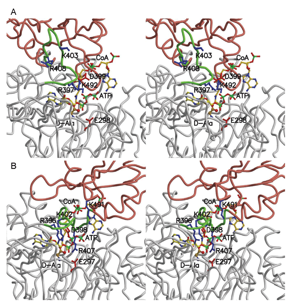 f234c564-2854-451f-a374-0eba20864d5b_figure5.gif