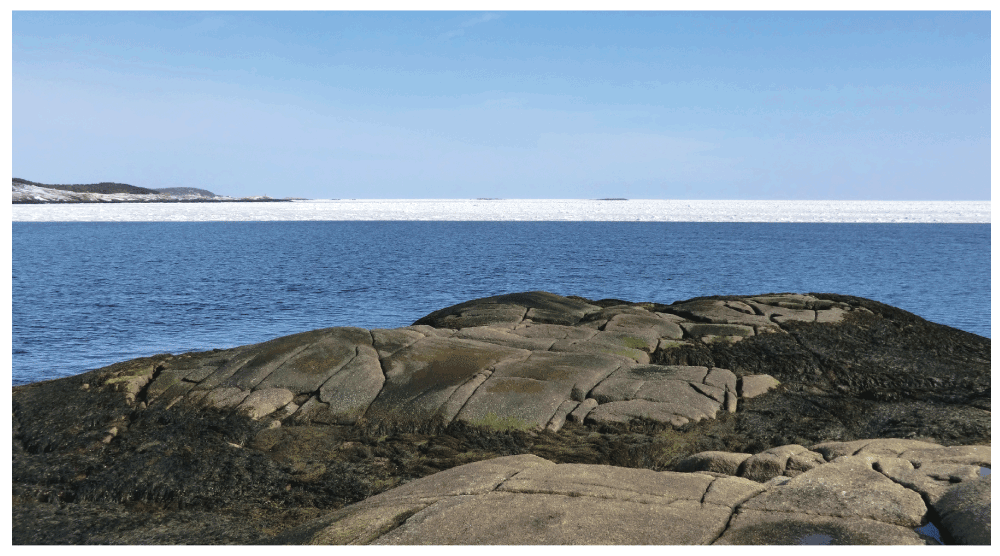 40570724-37ea-40cd-9d41-d1f6e835278f_figure2.gif
