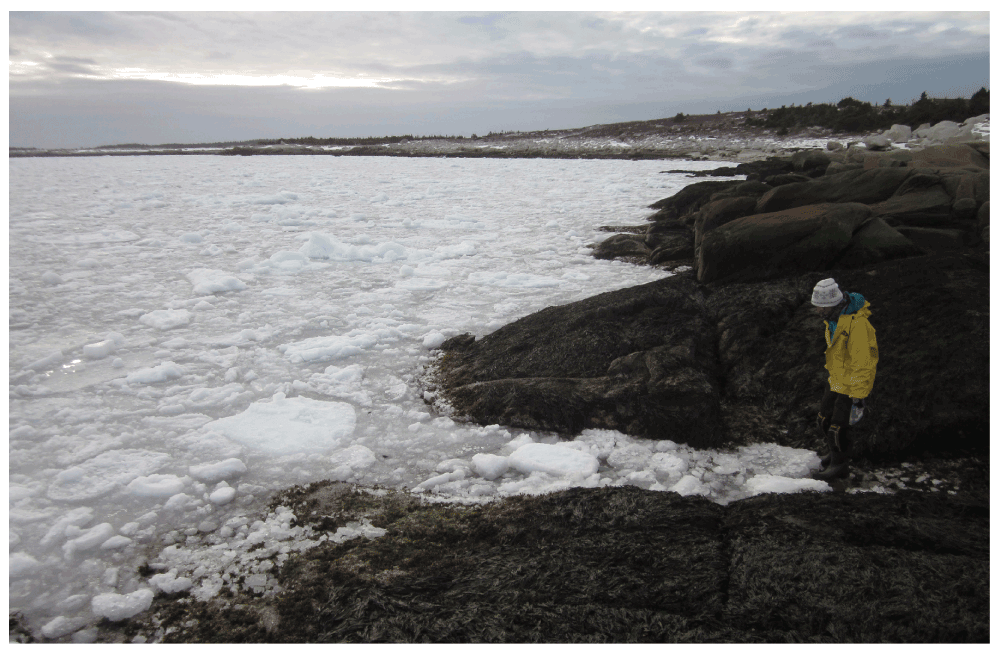 40570724-37ea-40cd-9d41-d1f6e835278f_figure3.gif