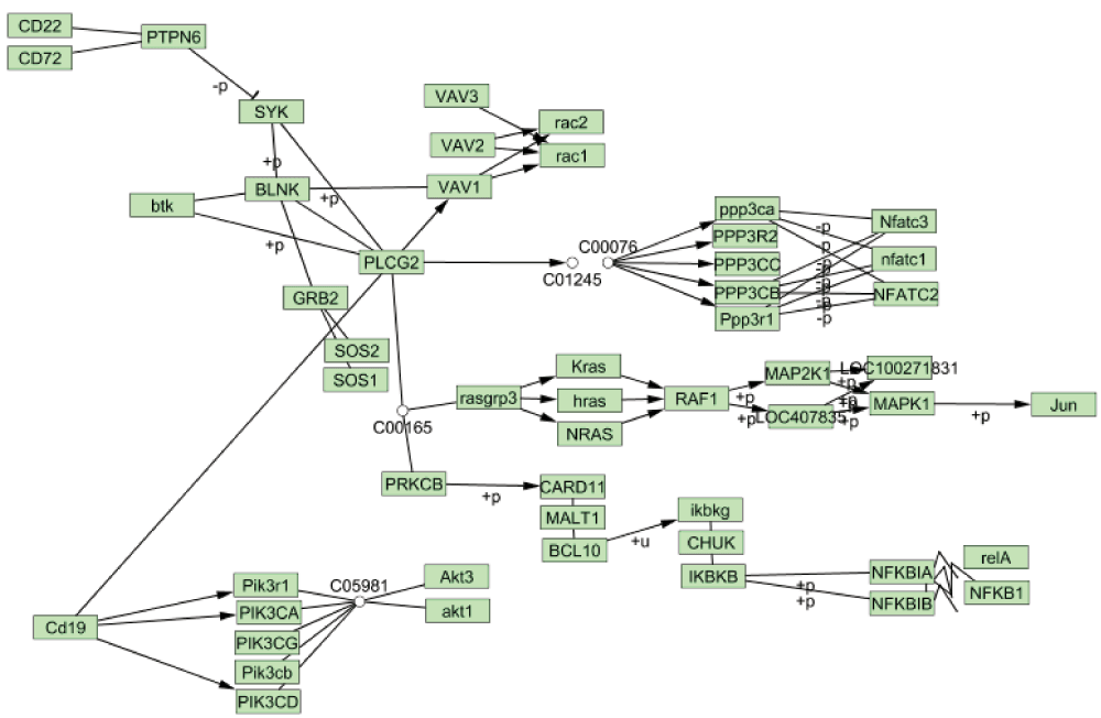 26f9bf8f-cd23-47db-b2d6-74f27b44fd92_figure4.gif