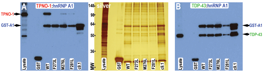535ad181-c154-4456-a8ae-89419b1312cb_figure3.gif