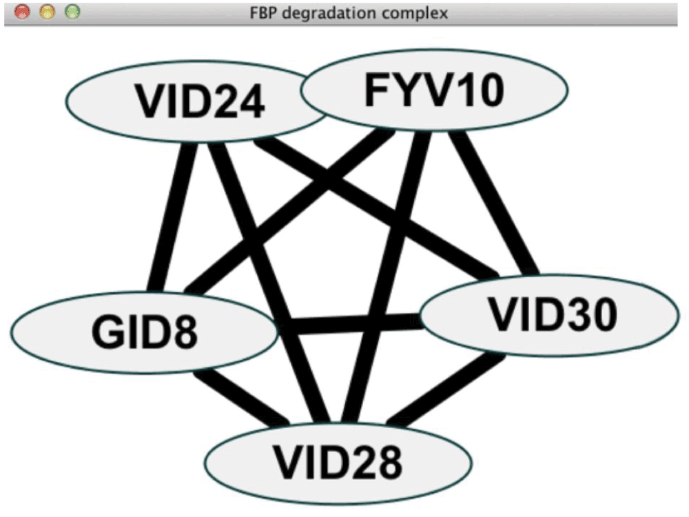 9533132e-ceba-4a5f-8d33-3c575f66c7d2_figure2.gif