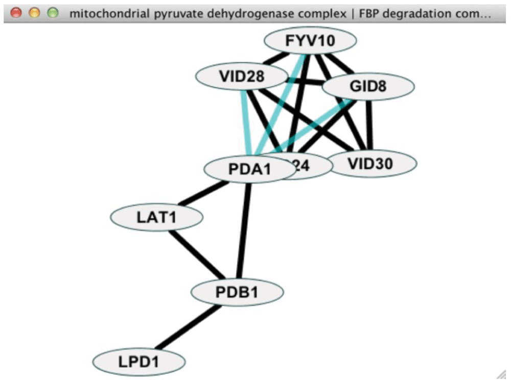 9533132e-ceba-4a5f-8d33-3c575f66c7d2_figure3.gif
