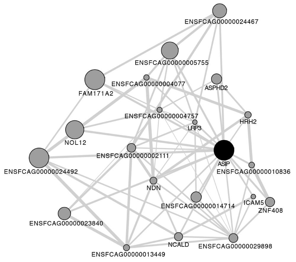 b09b44d8-af3a-4193-875d-c03f0e19fd5e_figure4.gif