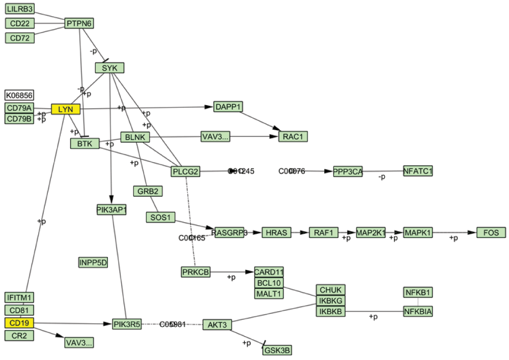 bdc1663c-d88b-4693-a7cf-7f57ff05ea9c_figure3.gif