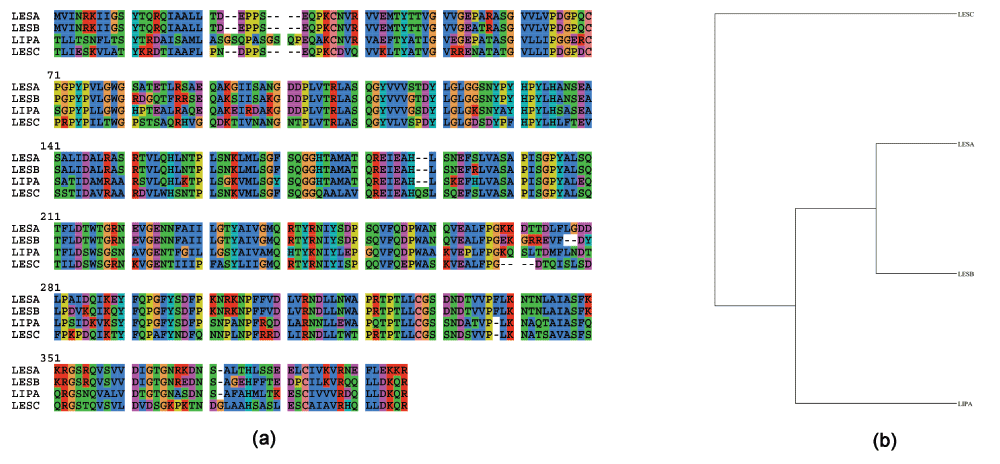 d18dd95a-7578-4e54-a2ff-694fe7fca457_figure1.gif