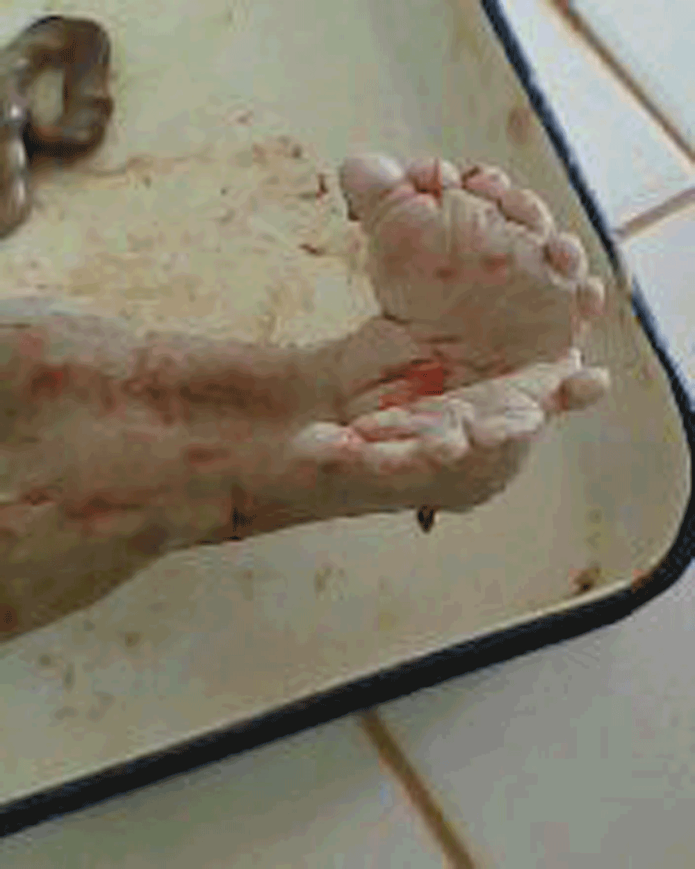 14e020de-a768-44ec-99d8-d2b870766597_figure6.gif