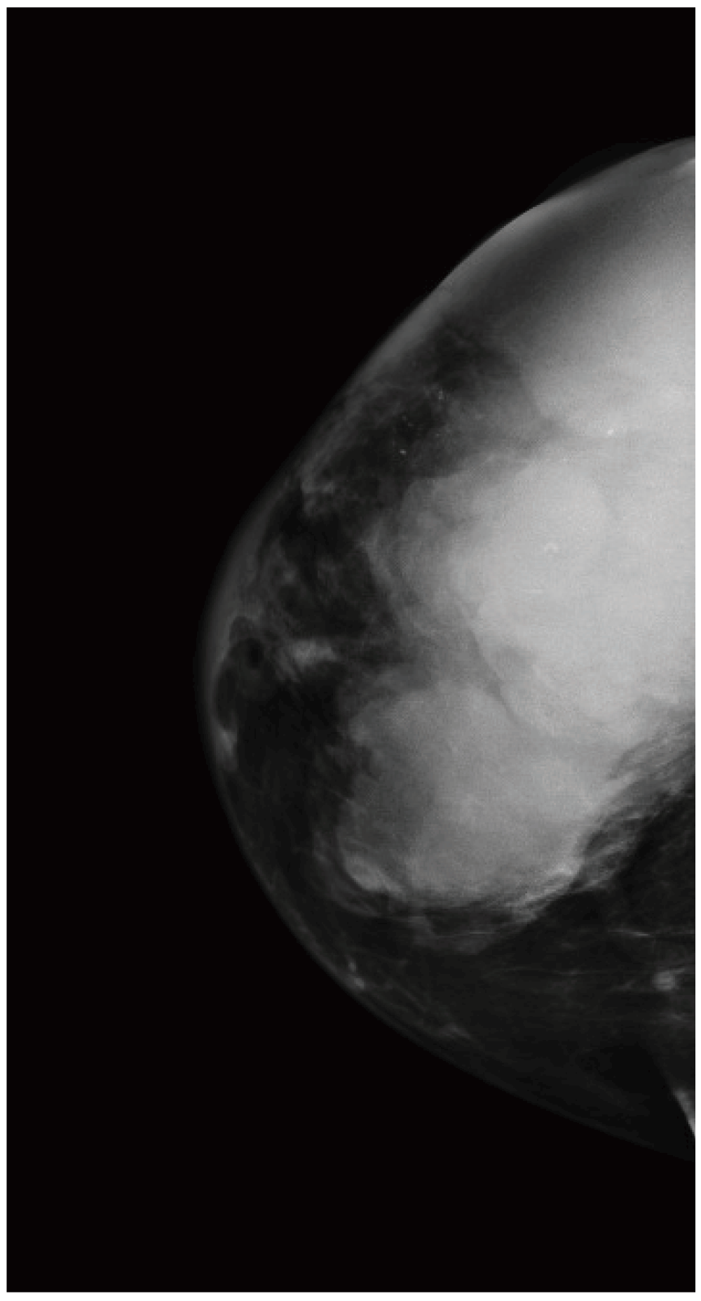 ba116a02-7185-4174-a939-9f7338297777_figure1.gif