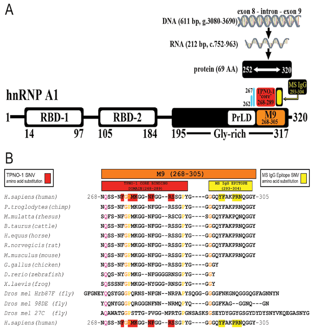 ecfc1d10-ba83-450f-989a-b2b96b26060c_figure1.gif