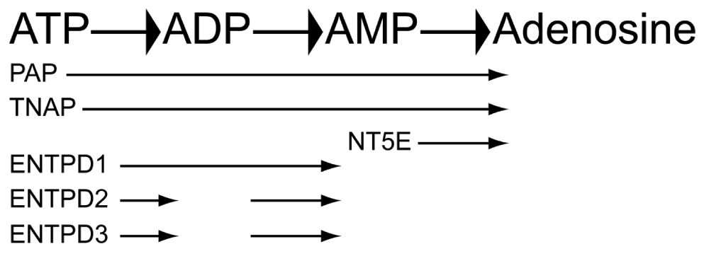 10db1218-dcb9-4b30-bc2a-6356e5e46b19_figure1.gif