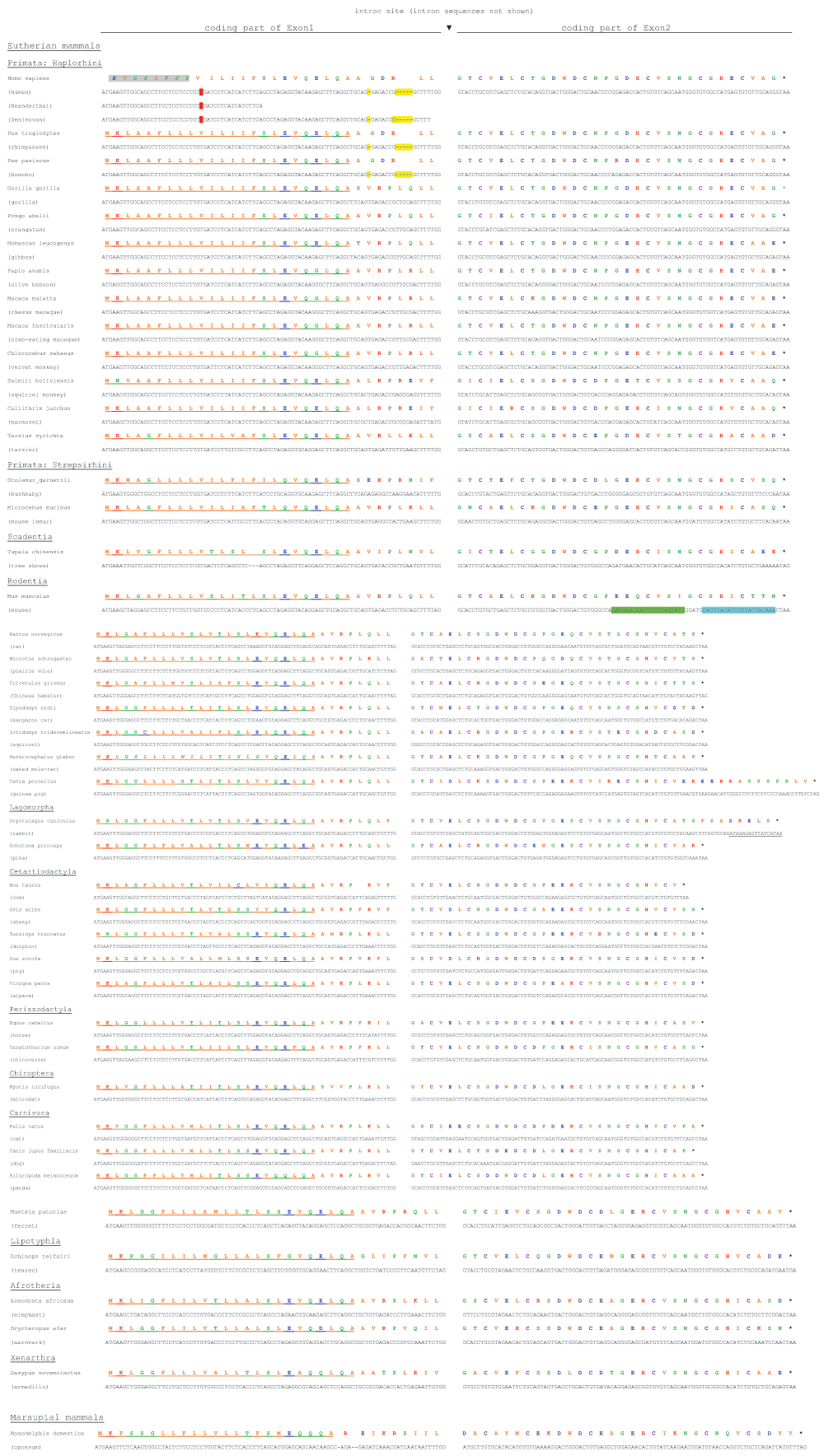 0d7b3140-5426-4bd5-a973-d206cfe30747_figure1.gif