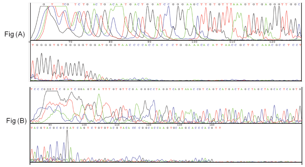 7b844b4a-d008-4fb2-904a-1ccd8c00b2a2_figure5.gif