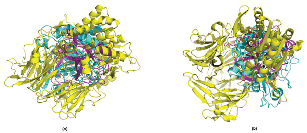 6a09053c-58f2-4899-882a-2909376cb887_suppl_figure1.gif