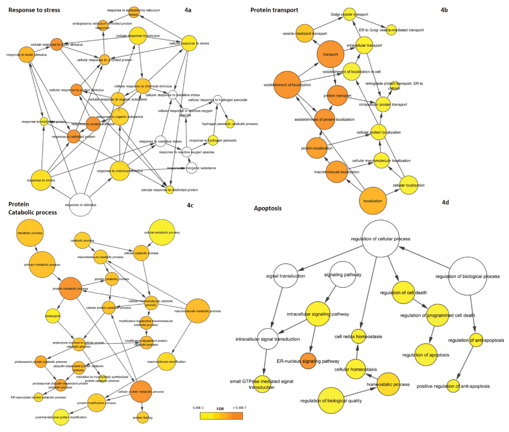 5b8a6660-3e64-46d5-b628-fd7e09c4768f_figure4.gif