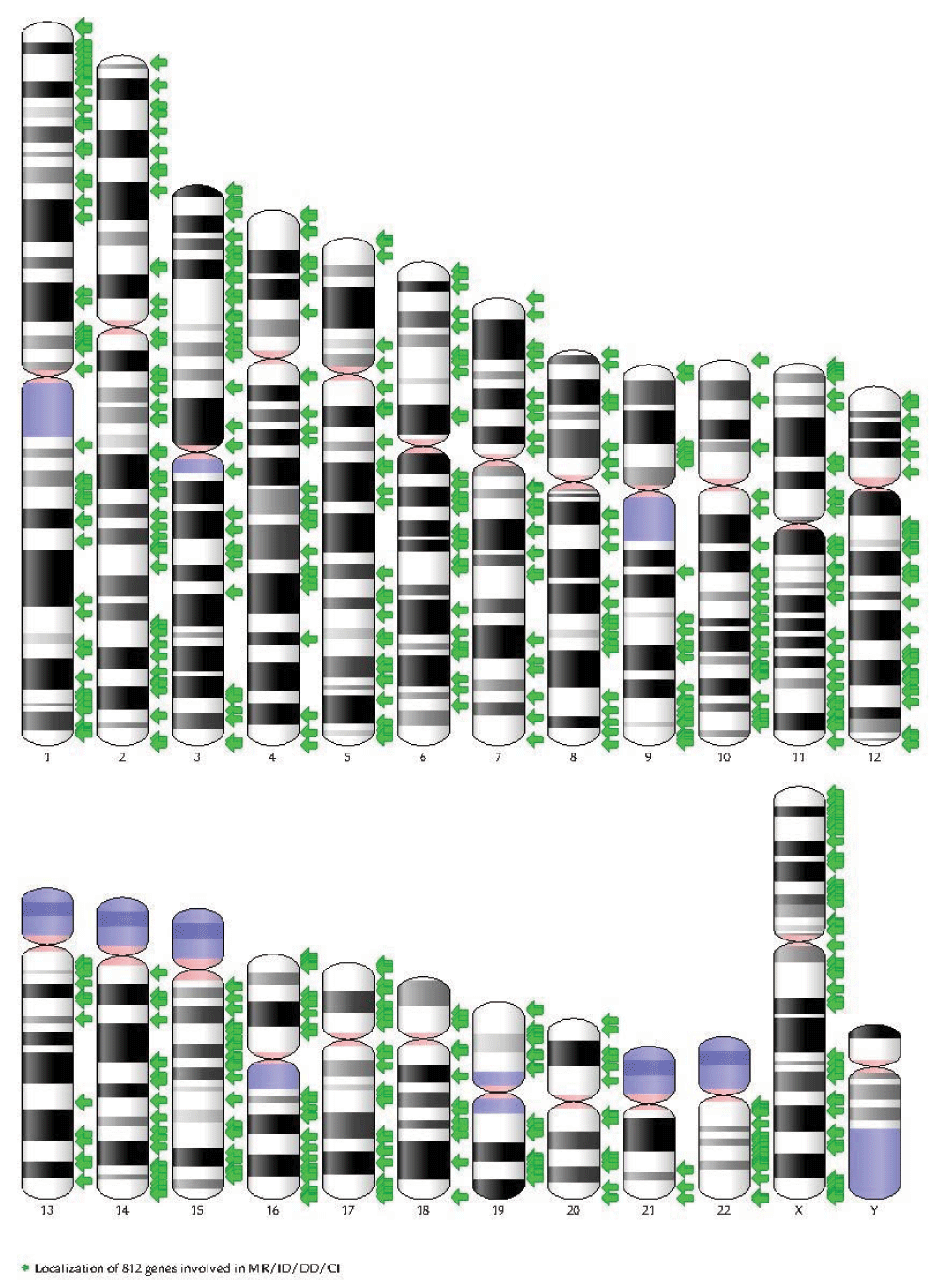80b74c4d-4b52-4722-bc30-0a02e169fc9b_figure4.gif