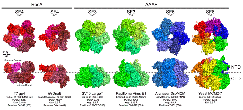 ad3f0d85-0174-4b55-bc07-139cd00886da_figure1.gif