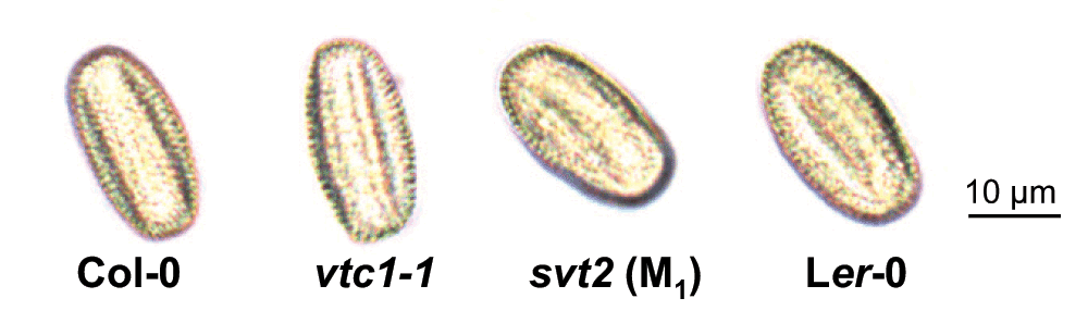 7b565f21-2876-4cff-aac3-28a94aa559c0_figure4.gif